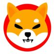 Shiba Inu