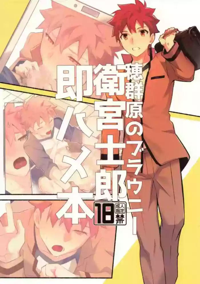 穂群原のブラウニー衛宮士郎即ハメ本 Chinese